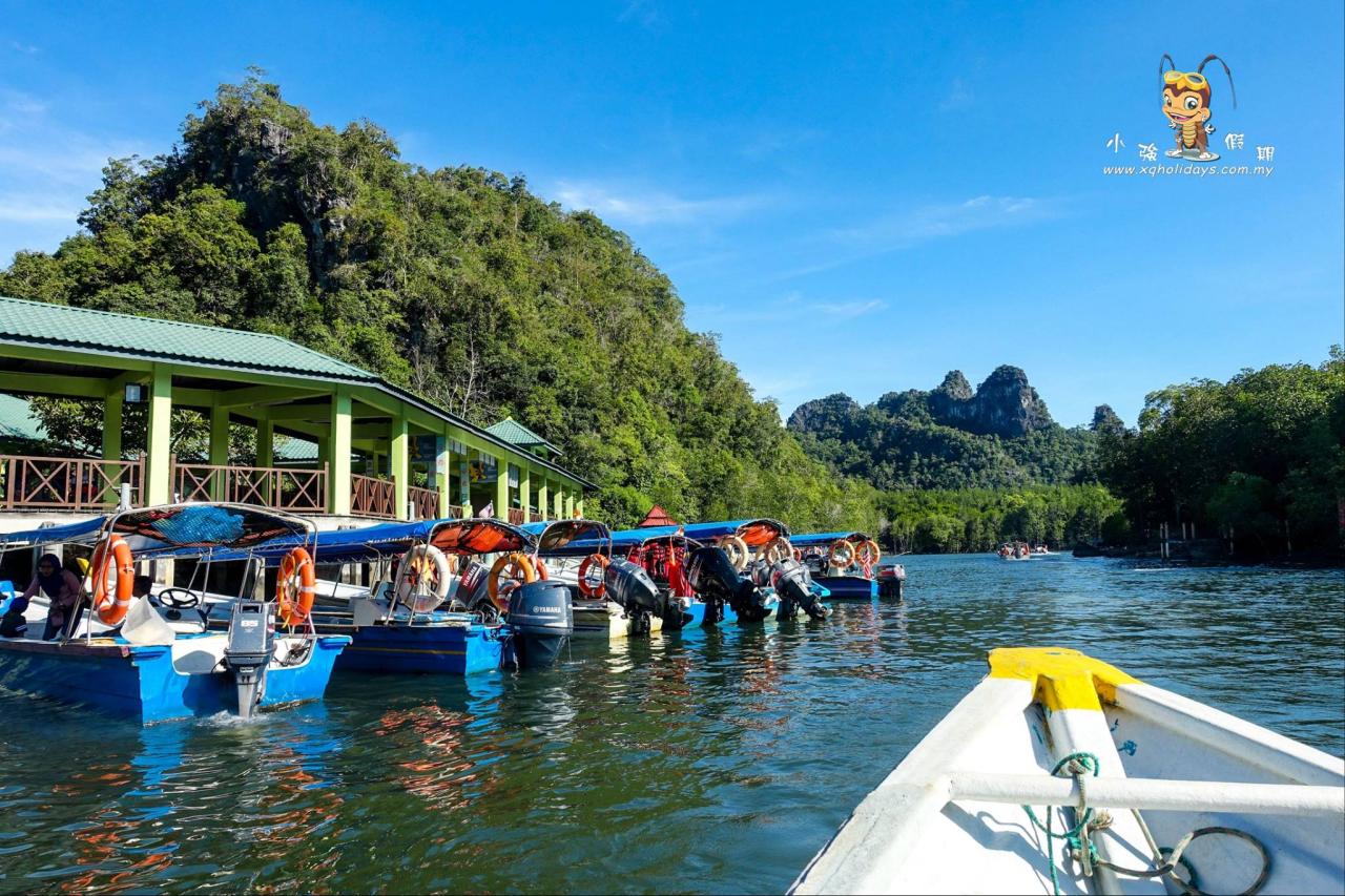 Jelajahi Keindahan Mangrove Langkawi: Destinasi Wisata Alam yang Menakjubkan